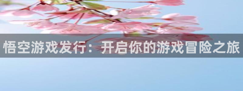 天辰平台总代：悟空游戏发行：开启你的游戏冒险之旅